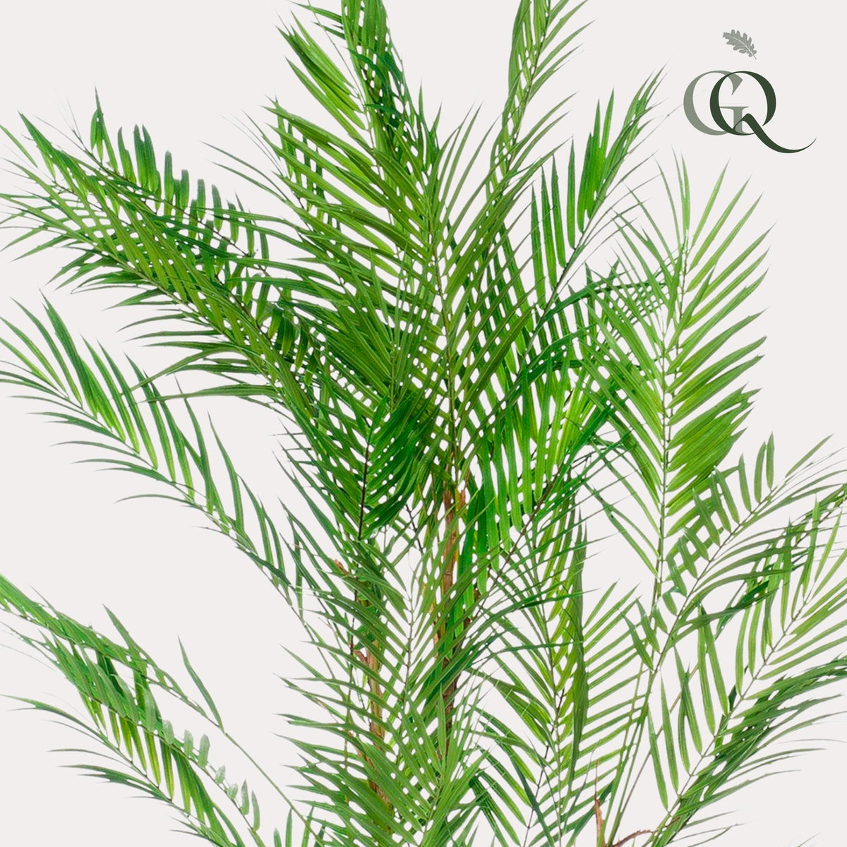 Kunstplant Chamaedorea elegans, bergpalm, 120 cm, groene bladeren