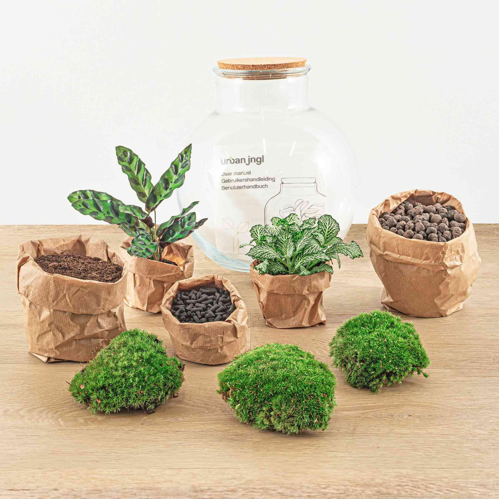 Detailfoto van DIY terrarium Teddy met licht, hark en schep