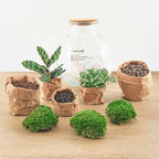 Detailfoto van DIY terrarium Teddy met licht, hark en schep
