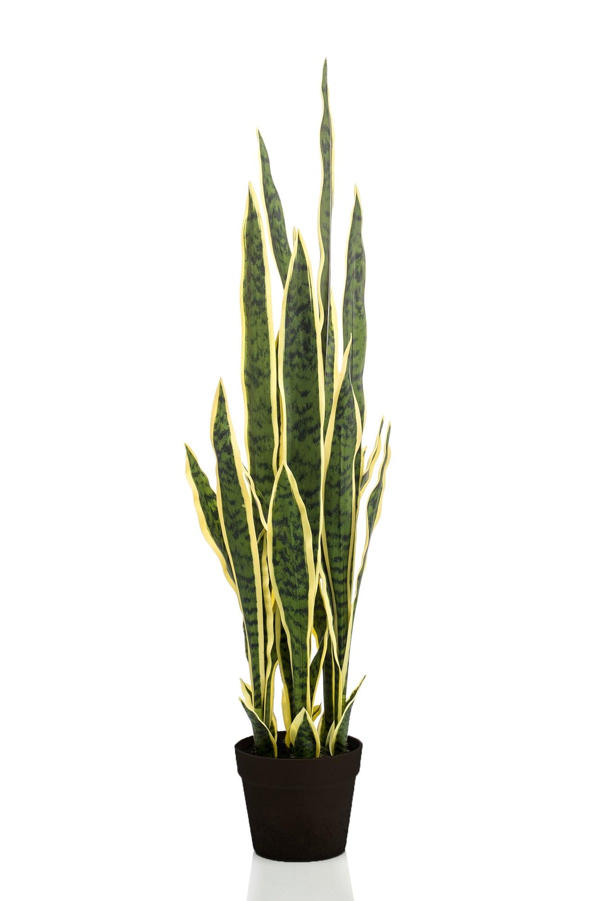Productafbeelding van Pureplant