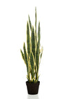 Kunstplant - Sanseveria Trifasciata - Vrouwentong