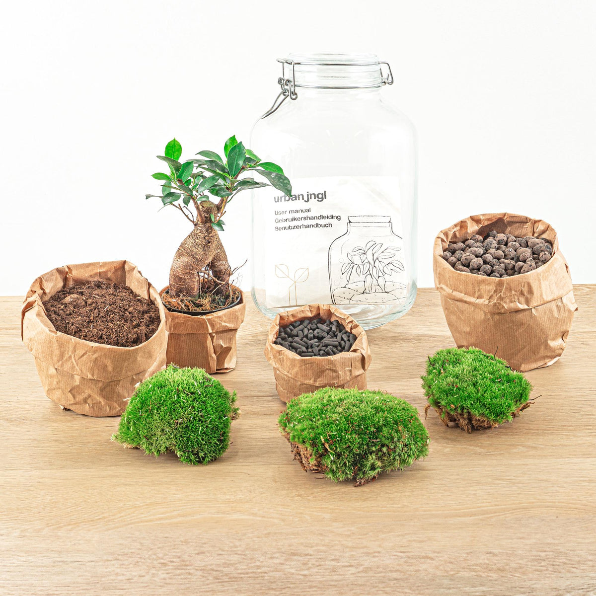 Detailfoto van DIY bonsai terrarium Jar Ficus ginseng, hark, schep, pincet