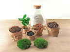 Productafbeelding van Pureplant