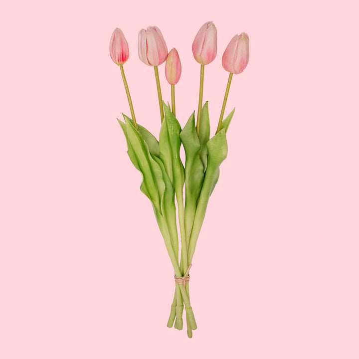Tulpen boeket Roze - 10 stuks - &