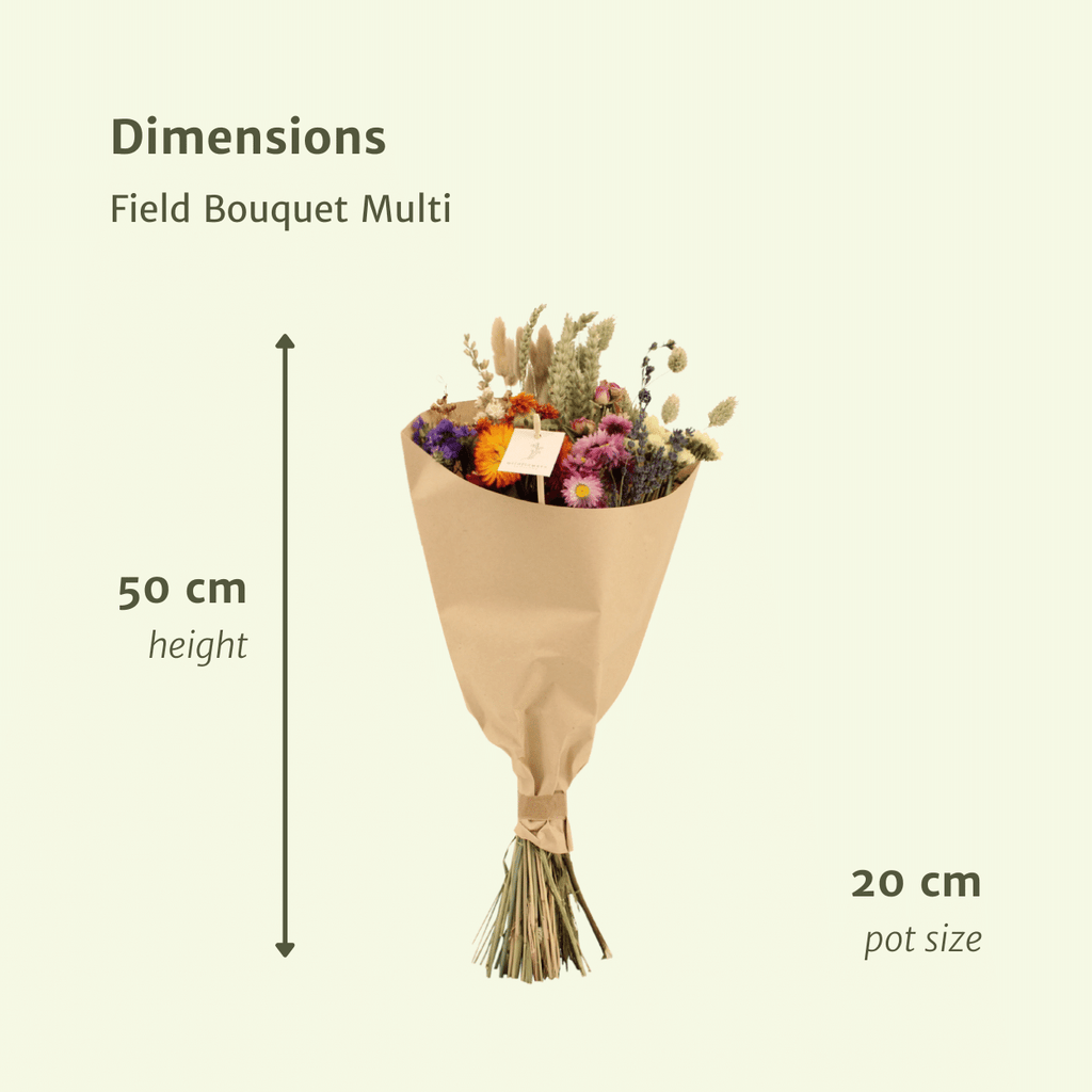 Detailfoto van Droogbloemenboeket multicolor - middel