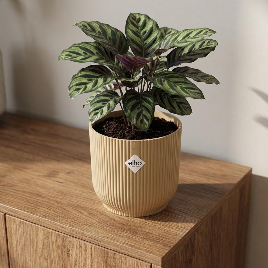 Elho Vibes Fold bloempot met ribbels, geel, Ø14 cm, groene bladeren