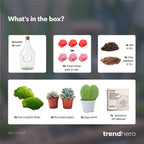 Love in a Bottle - DIY Open Planten terrarium, groene bladeren