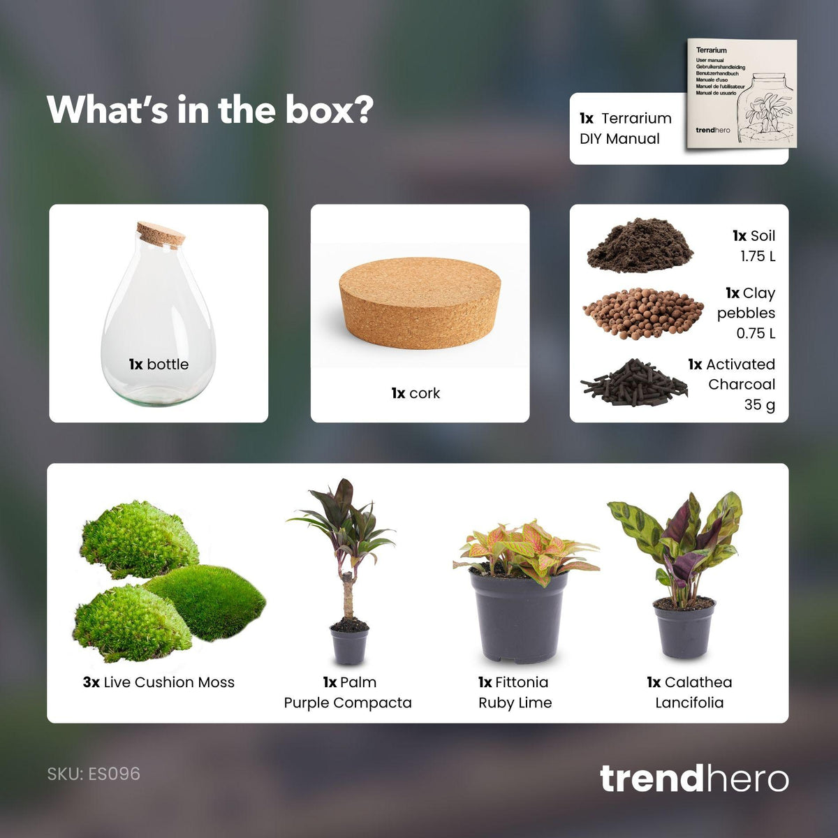 Detailfoto van DIY Planten terrarium - Drop XL Palm - Zonder gereedschap