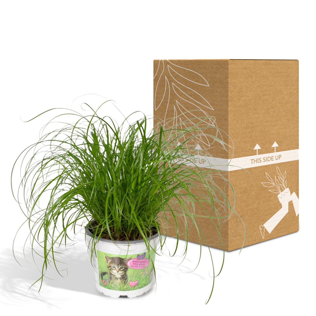 Productafbeelding van Pureplant