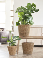 Mand - Lichtbruin - Jip naturel - M, plant in pot