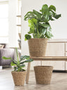 Mand - Lichtbruin - Jip naturel - M