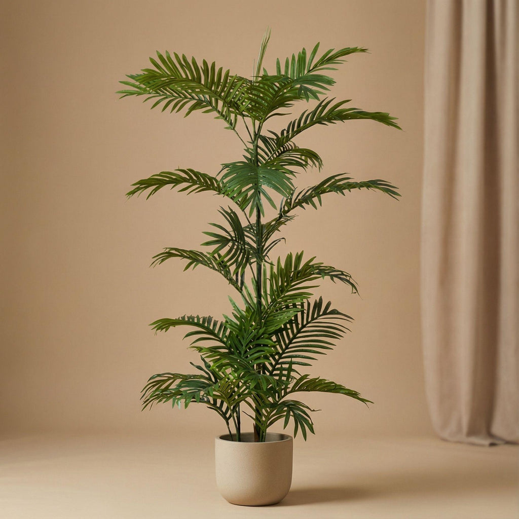 Palm Phoenix, kenmerkend blad