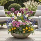 Bulb Garden mix, plant in pot