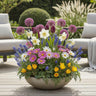 Bulb Garden mix