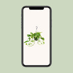 Detailfoto van Epipremnum Marble Queen - Scindapsus