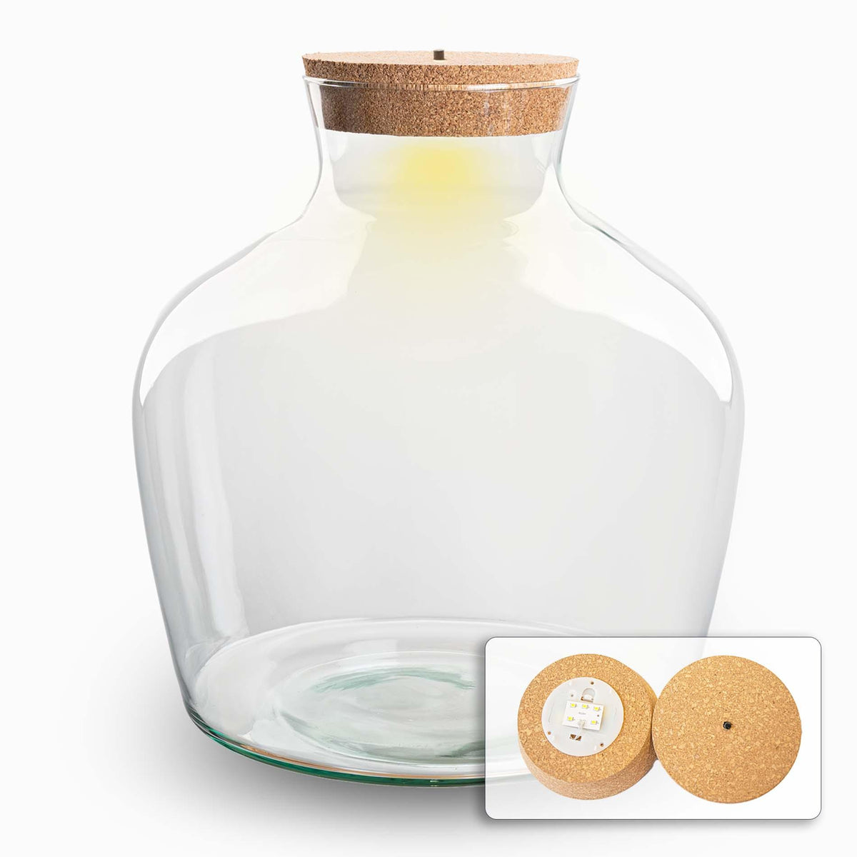 Terrarium fles met verlichting - Fat Joe, plant in pot