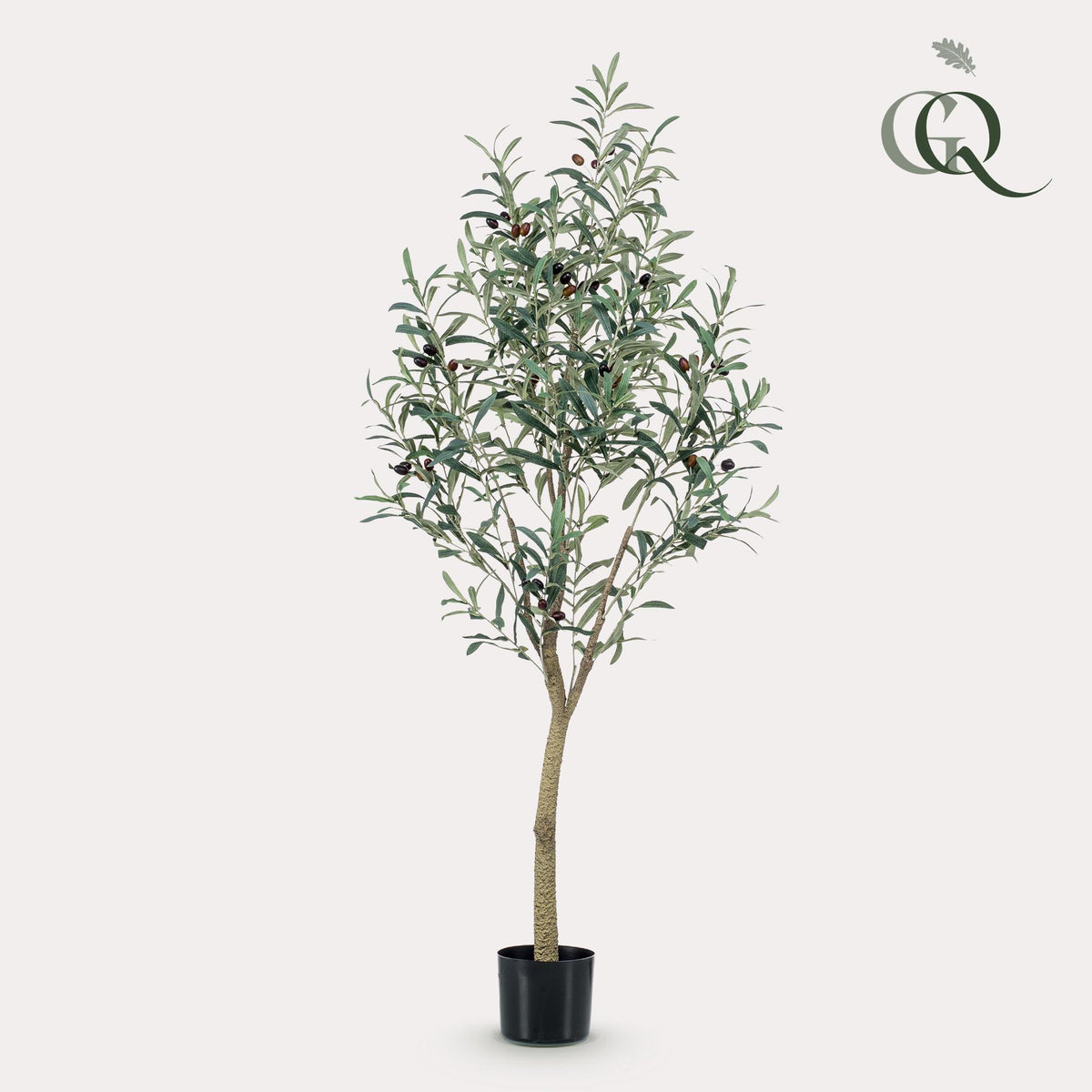 Productafbeelding van Pureplant