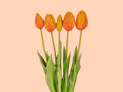 Tulpen boeket Oranje - 10 stuks - &