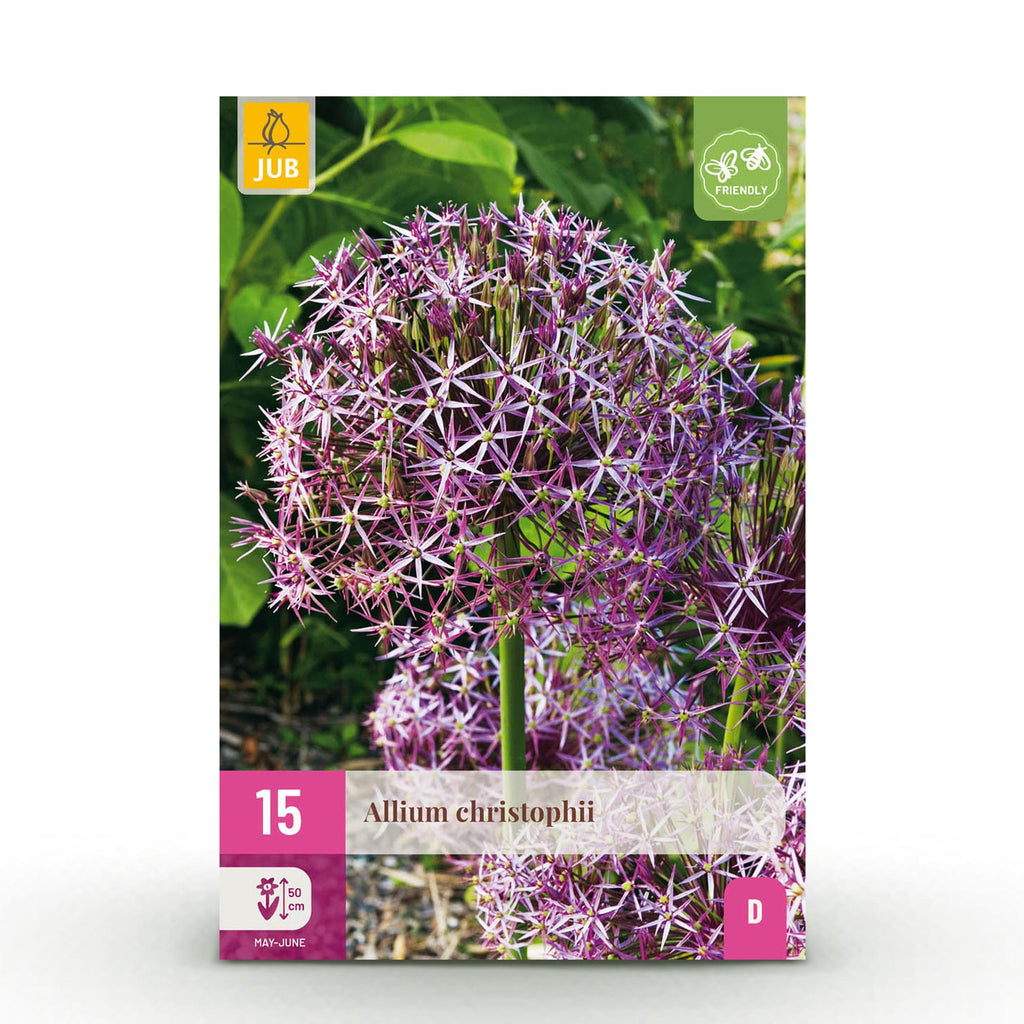 Allium Christophii, detail van het blad