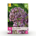 Allium Christophii, detail van het blad