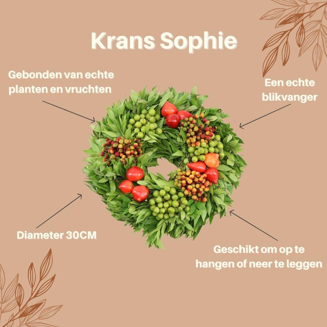 Echte krans Sophie | Ø diameter, groeiwijze van de plant