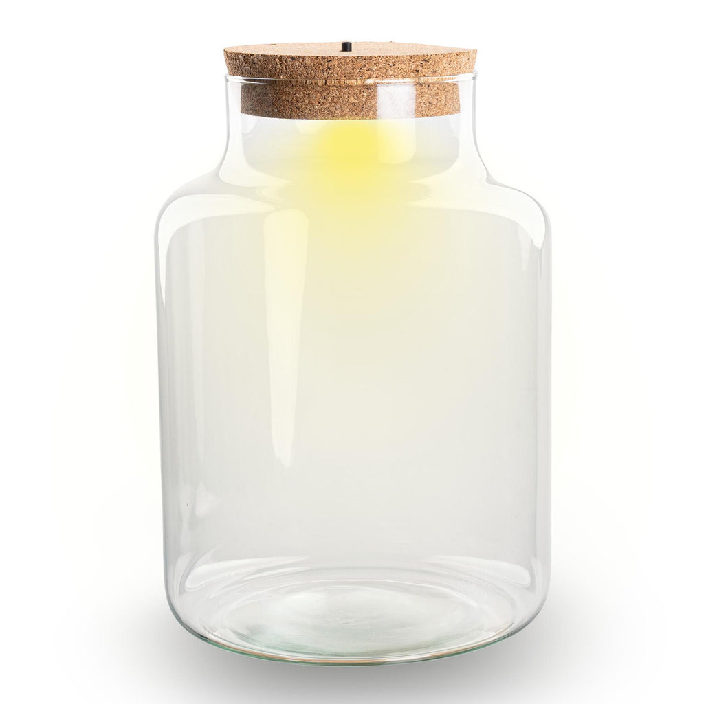 Terrarium fles met verlichting - Little Milky, detail van het blad