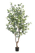 Productafbeelding van Pureplant