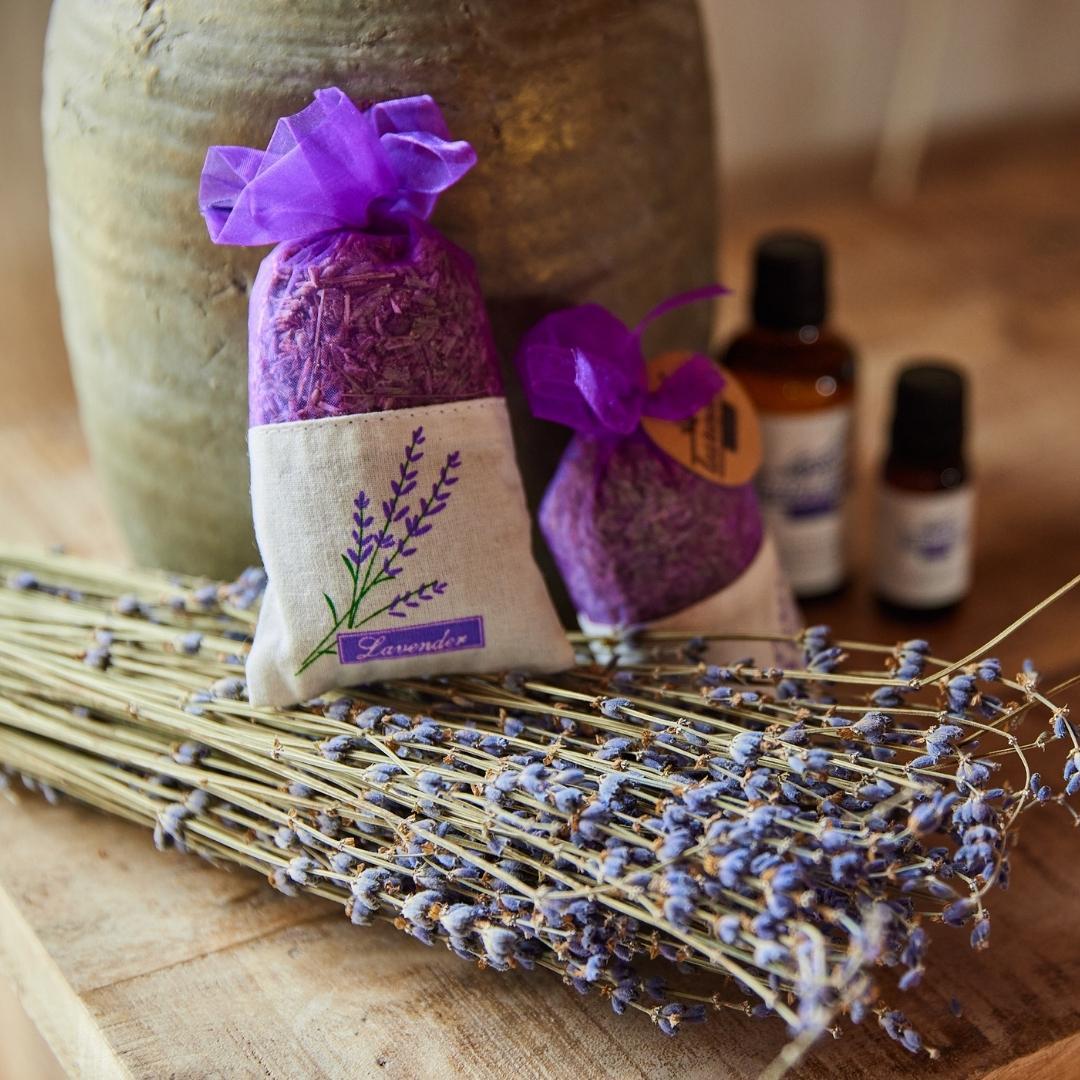 Premium Lavendel geurzakjes, plant in pot