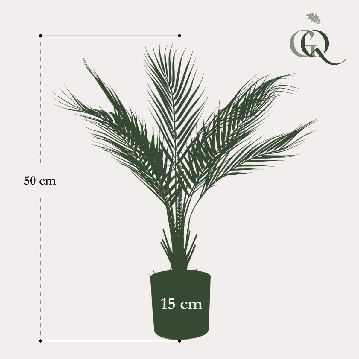 Kunstplant Chamaedorea, bergpalm met veerachtig blad, 50 cm, gezonde plant