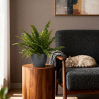 Nephrolepsis exaltata Green Lady met grijze pot, groene plant voor binnen