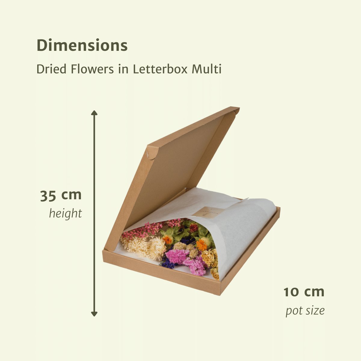 Detailfoto van Droogbloemen in Letterbox - Multi