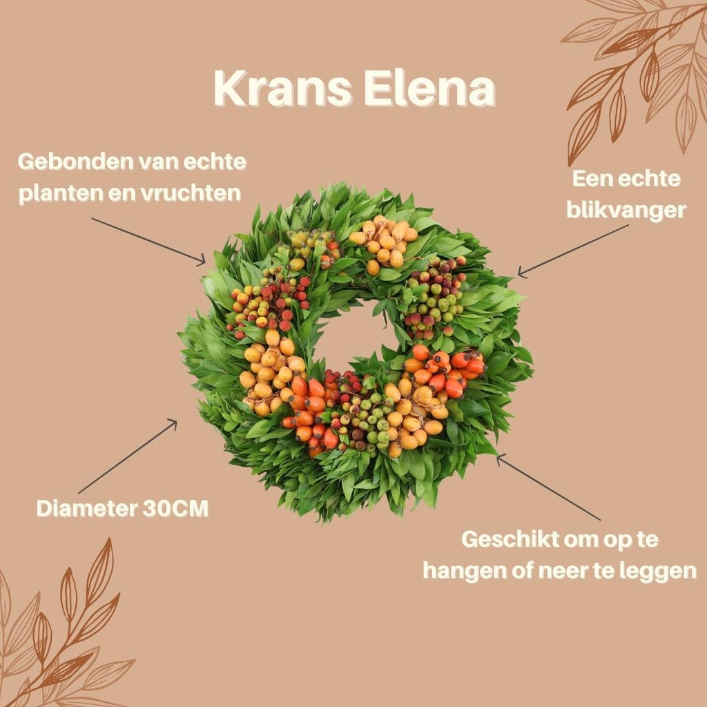 Echte krans Elena | Ø diameter, groeiwijze van de plant