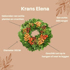 Echte krans Elena | Ø diameter, groeiwijze van de plant