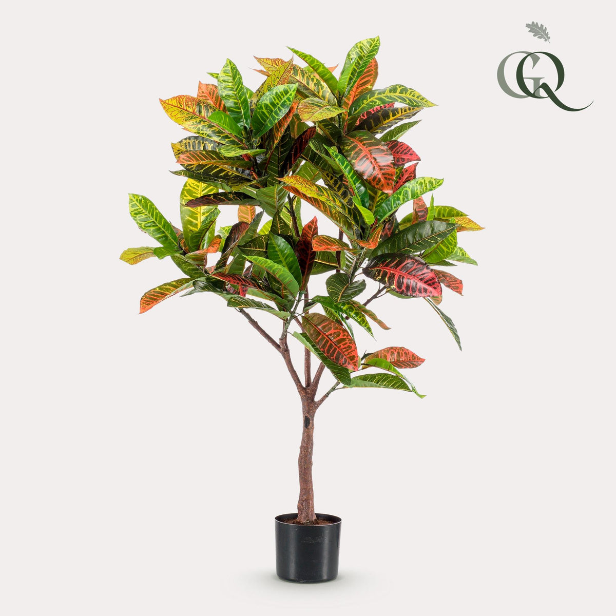 Productafbeelding van Pureplant