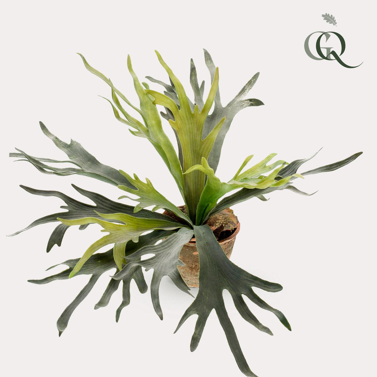 Productafbeelding van Pureplant