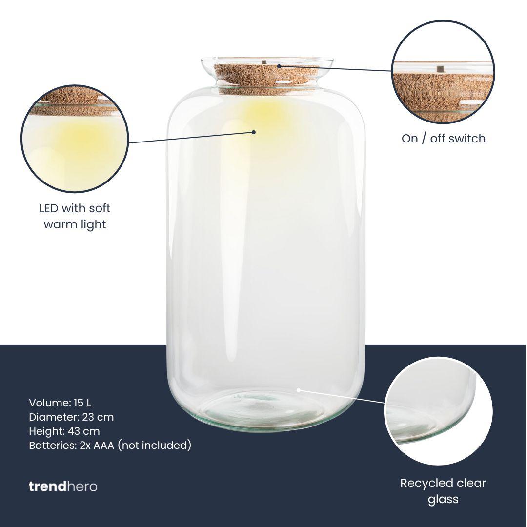 Terrarium fles met verlichting - Sven XL, groeiwijze van de plant
