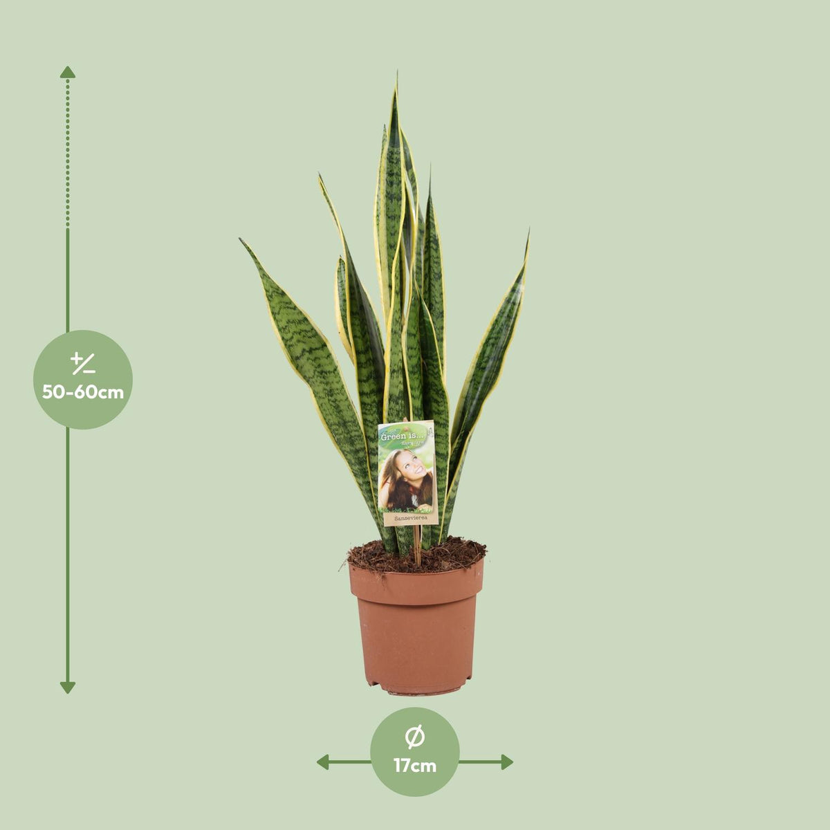 Productafbeelding van Pureplant