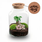 Terrarium Little Milky 'Love Mom', gegraveerde kurk en licht, kenmerkend blad