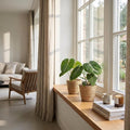 Philodendron Gloriosum - Glorie Philodendron - met Mand, plant in pot