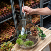 Terrarium Tool - Hark