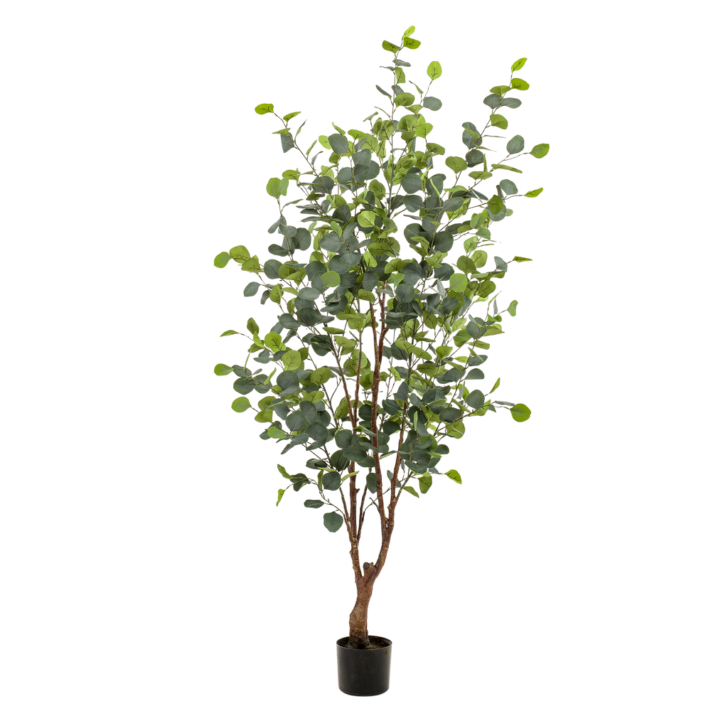 Kunstplant Eucalyptus, blauwe gomboom met ovaal blad, 140 cm, detail van het blad