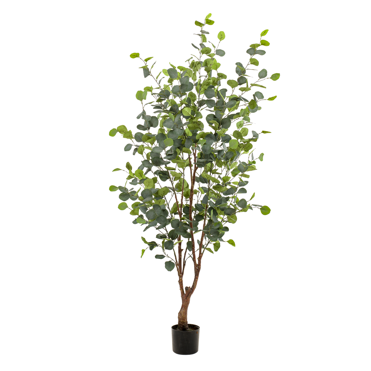 Kunstplant Eucalyptus, blauwe gomboom met ovaal blad, 140 cm, detail van het blad