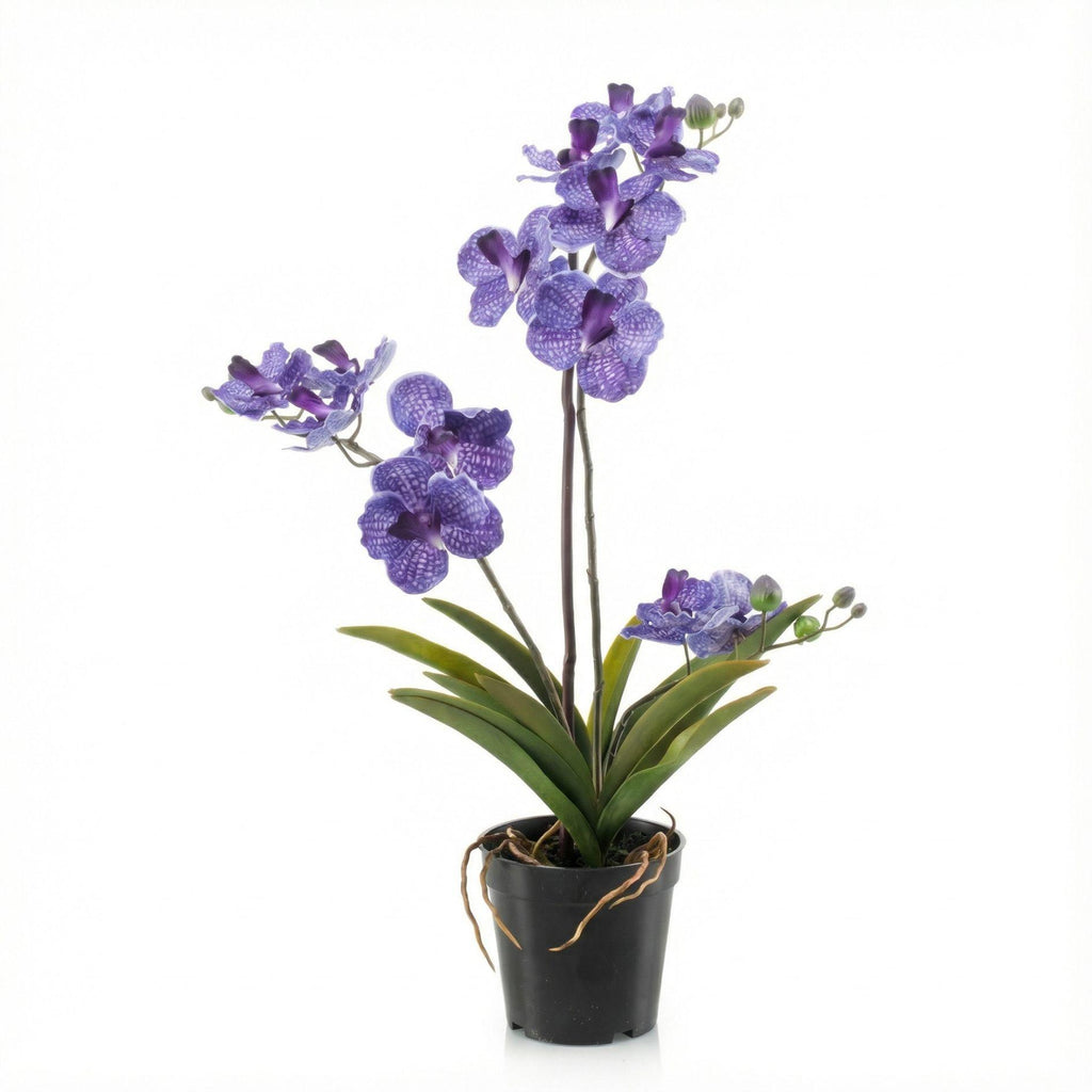 Orchidee Vanda kunstplant, groeiwijze van de plant