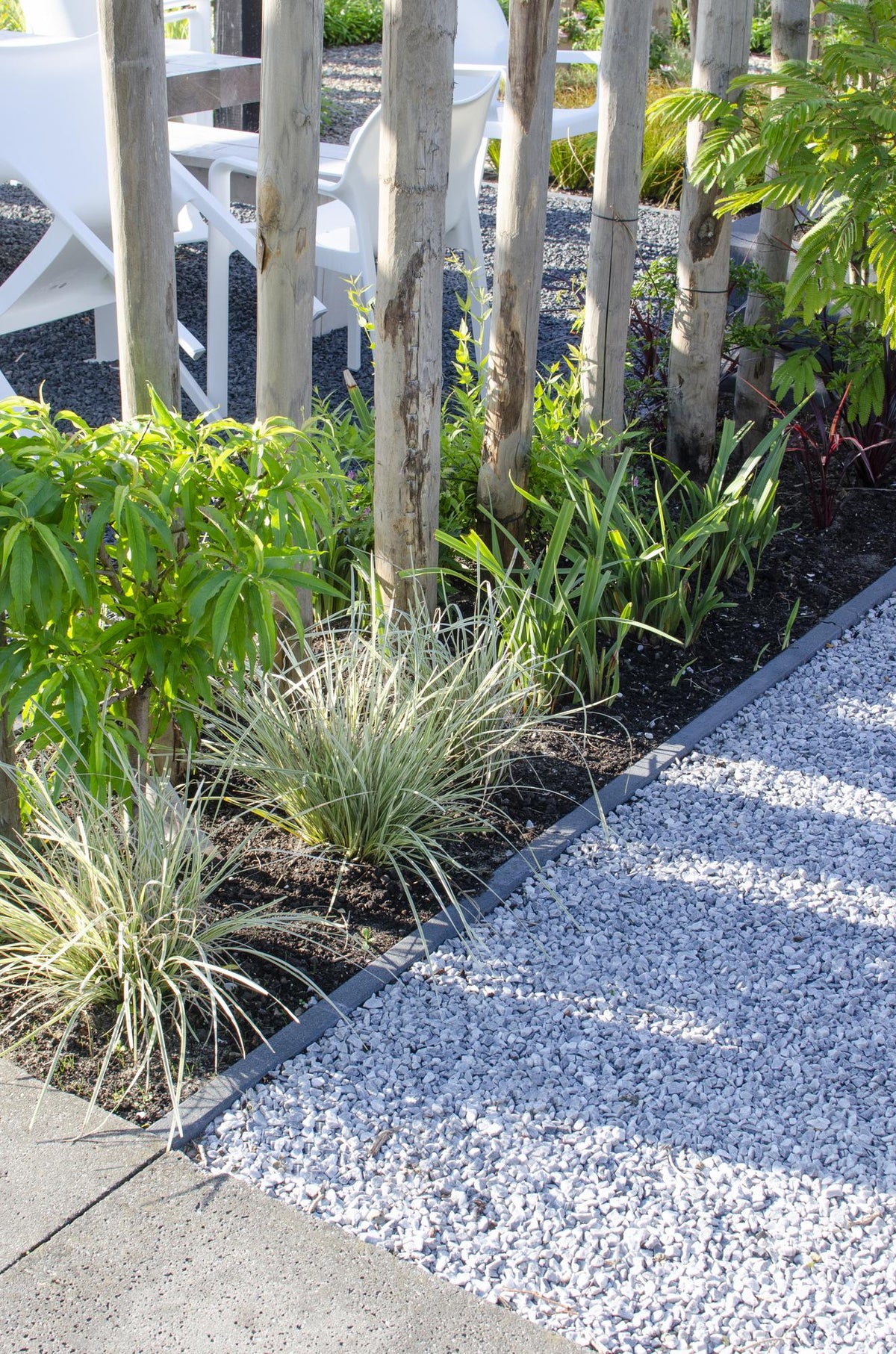 Detailfoto van Lomandra longifolia 'White Sands'