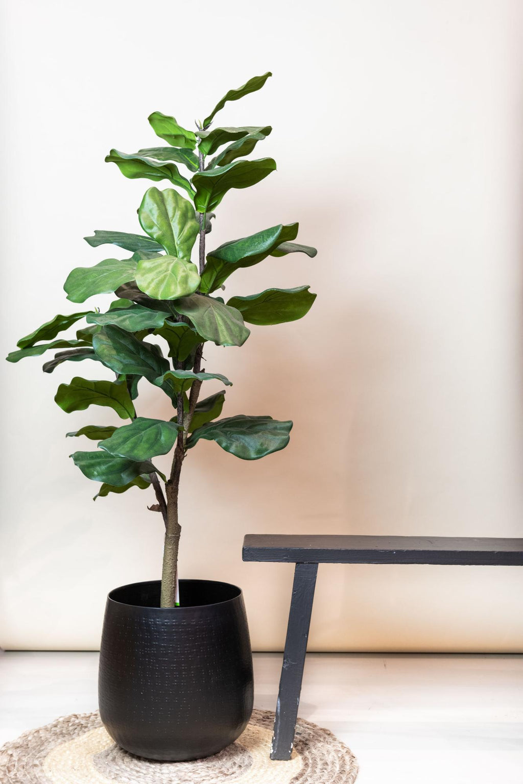 Productafbeelding van Pureplant