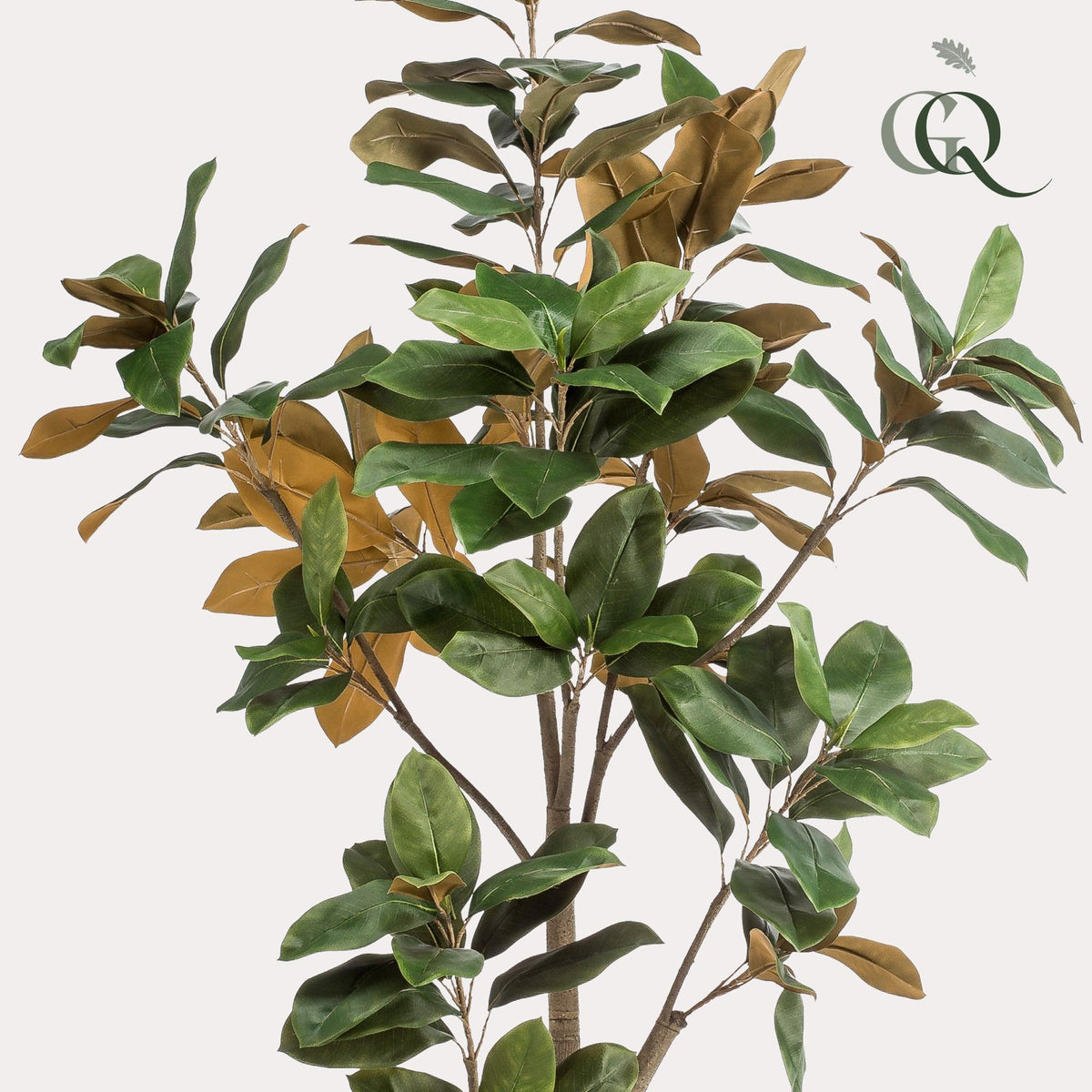 Kunstplant - Magnolia Grandiflora, kenmerkend blad
