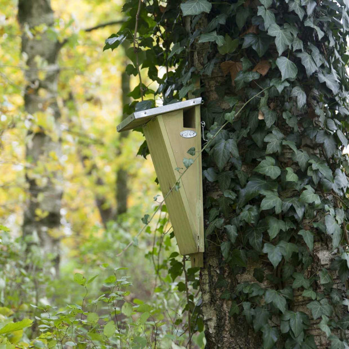 Vogelhuis boomkruiper, nestkast met zinken dak en zij-ingang