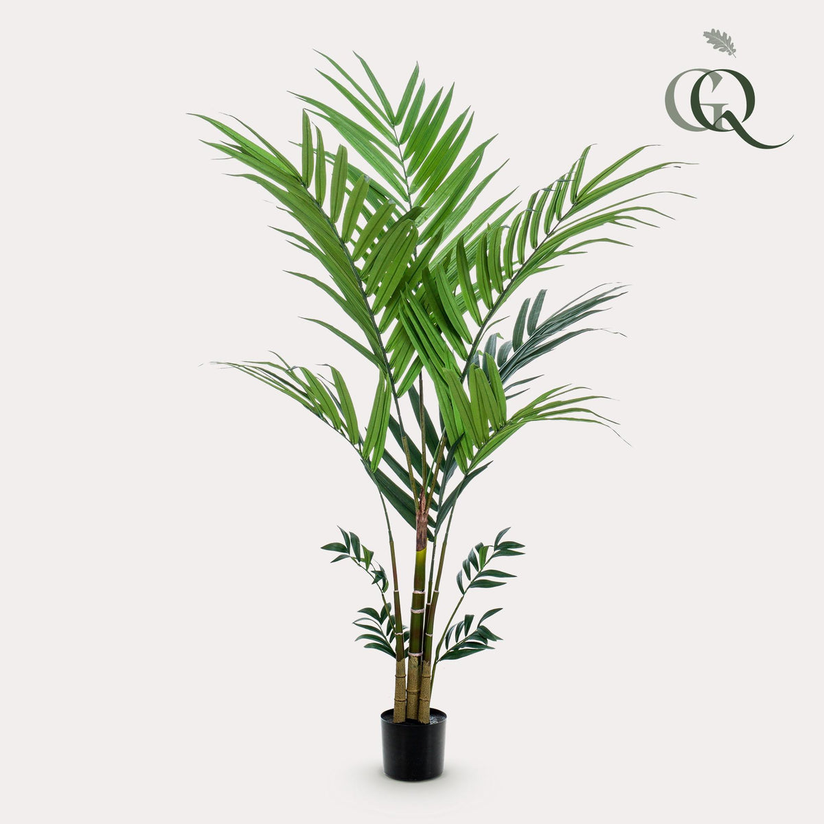 Productafbeelding van Pureplant