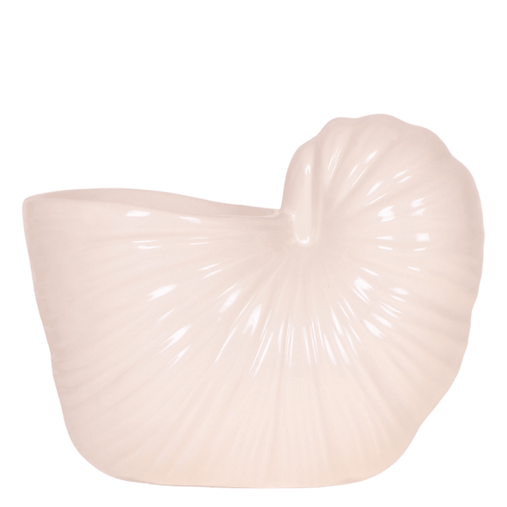 Kolibri Home | Shellfish sierpot