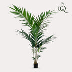 Productafbeelding van Pureplant